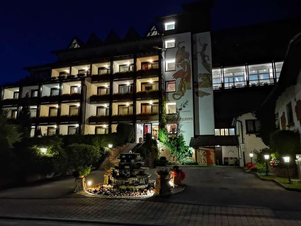 Ringhotel Siegfriedbrunnen Grasellenbach Ngoại thất bức ảnh